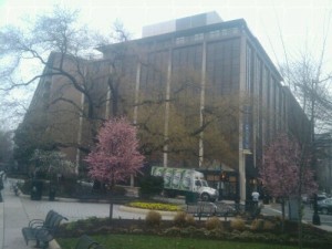 wpid-IMG_20110316_092009.jpg